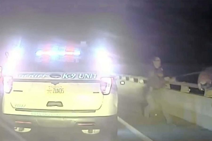 service dog as social bridge