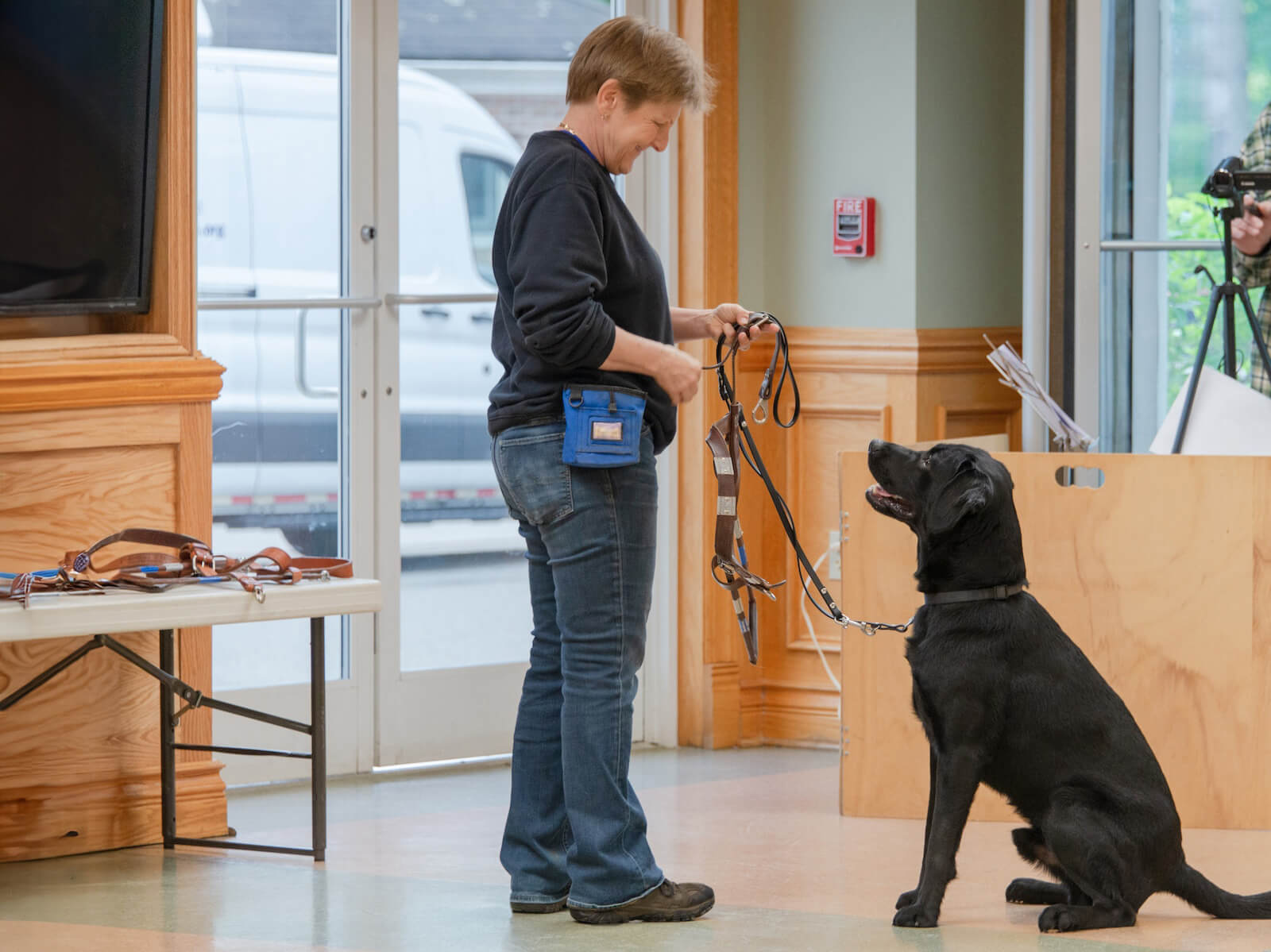service dog guiding person